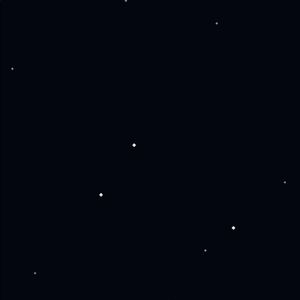 Meet your Posher, Bailey